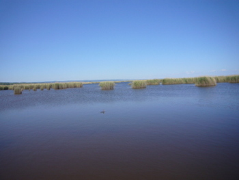 Neusiedler See